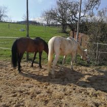 Zandry und Campina   Kopie